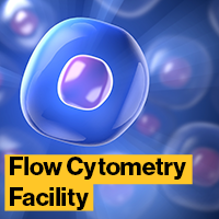 Flow Cytometry Facility