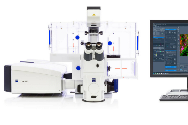 BIF – Zeiss 880 confocal with Airyscan