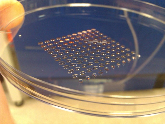 Scientists Use 3-D Printer to Speed Human Embryonic Stem Cell Research