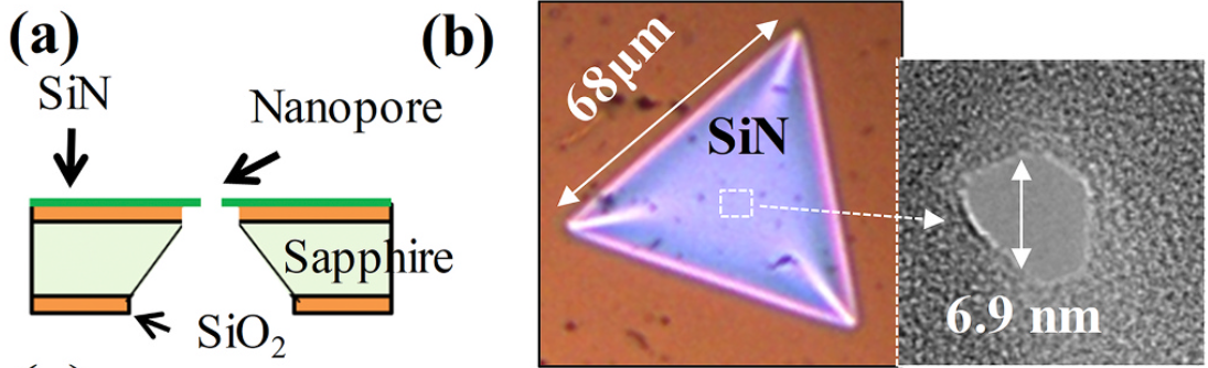 Using Sapphire for Biosensing: A New Way to Shape the Gemstone