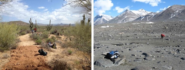 Two contrasting landscapes: the Arizona desert with cacti on the left and the rocky, mountainous terrain of Antarctica with snow caps on the right.