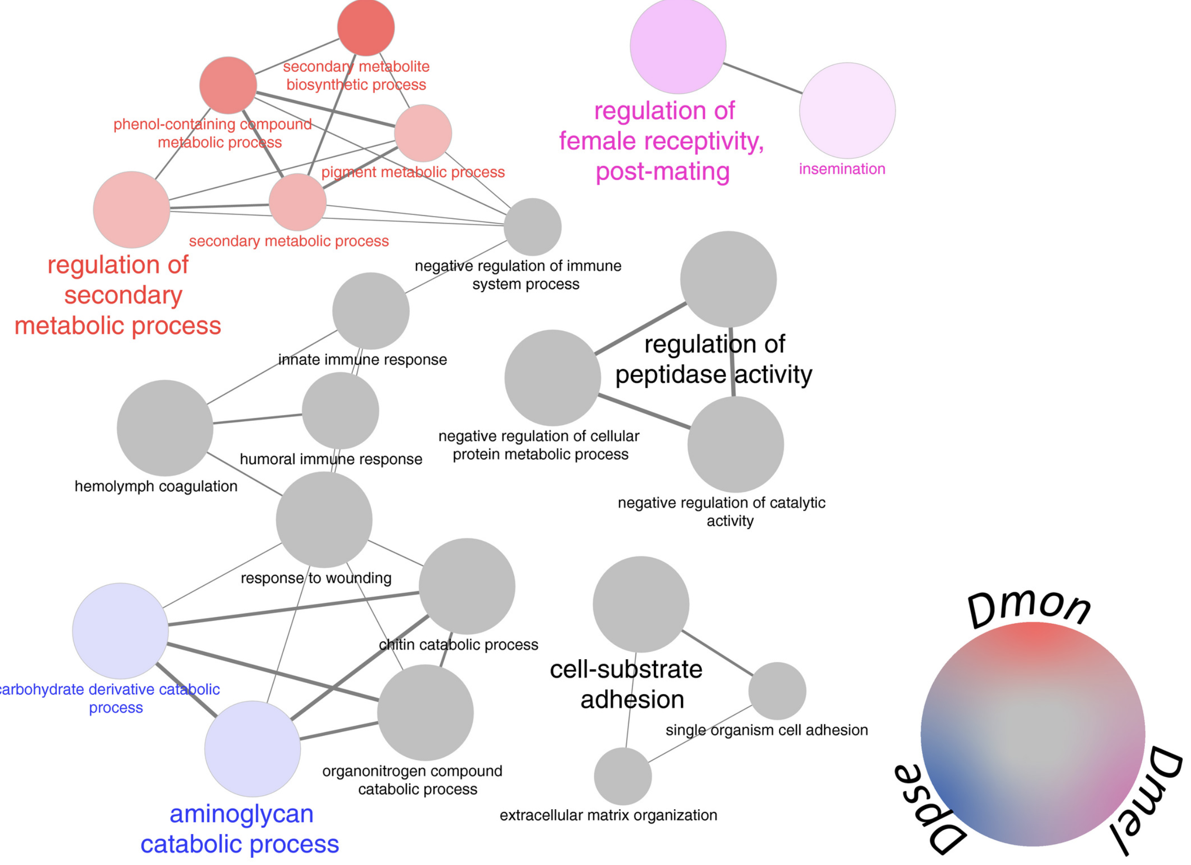 Seminal fluid protein divergence among populations exhibiting postmating prezygotic reproductive isolation