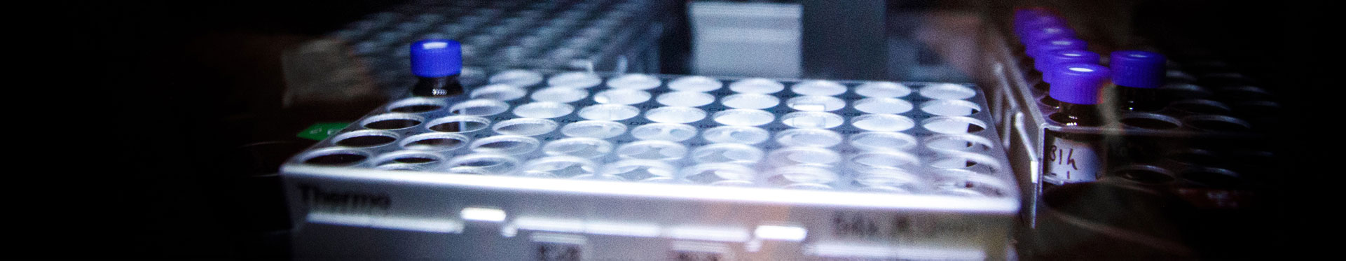 A rack holding tubes with biological samples to be analyzed in the Mass Spectrometry facility