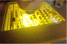 Laser Ablation System