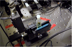 Transient Absorption Spectroscopy